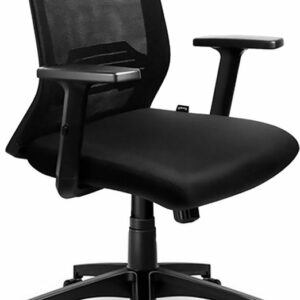 Goliving Ergonomisch bureaustoel - Met lendensteun en armleuning -  Verstelbaar - Op wieltjes review en ervaring